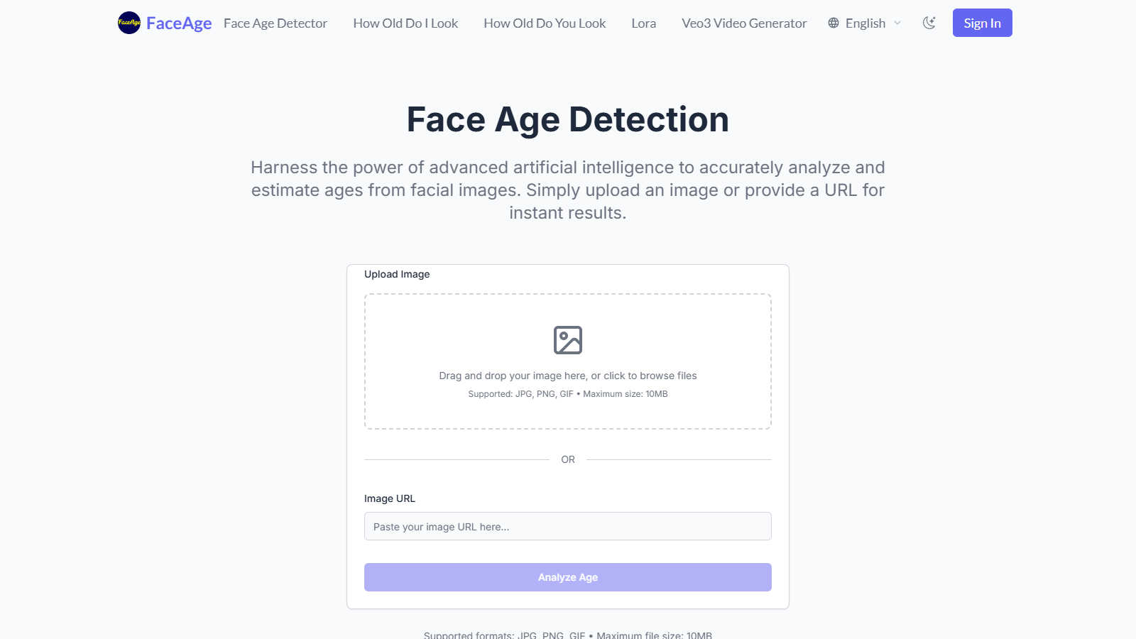 Face Age application interface and features