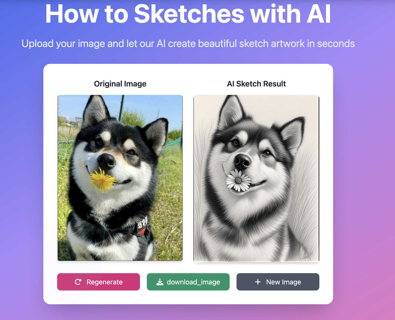 How to Sketch application interface and features