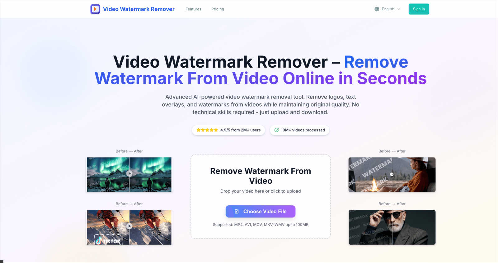 Video Watermark Remover AI application interface and features