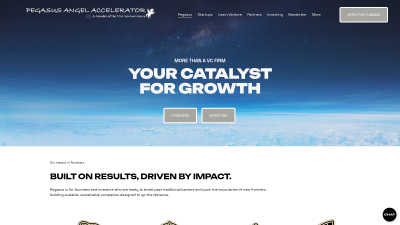 Pegasus Angel Accelerator - AI tool for Business & Finance