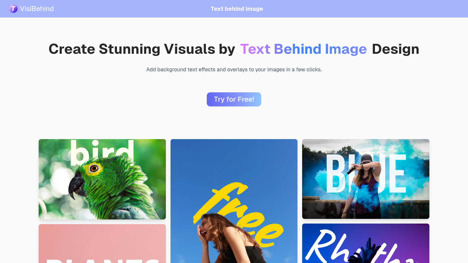 VisiBehind application interface and features