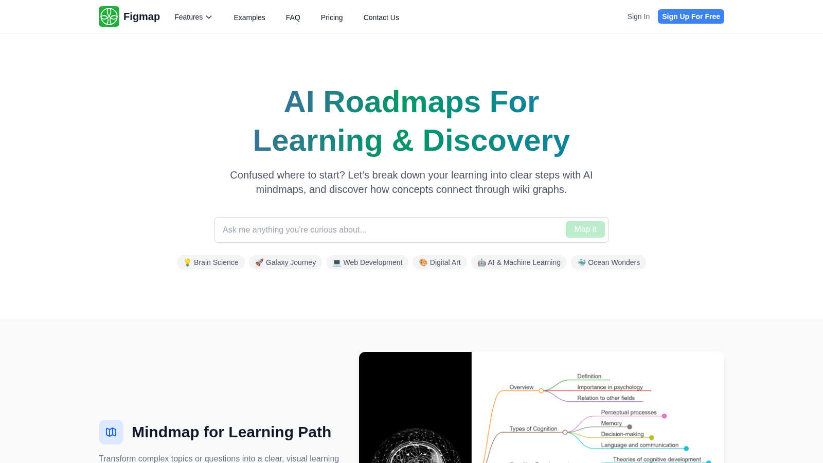 Figmap application interface and features