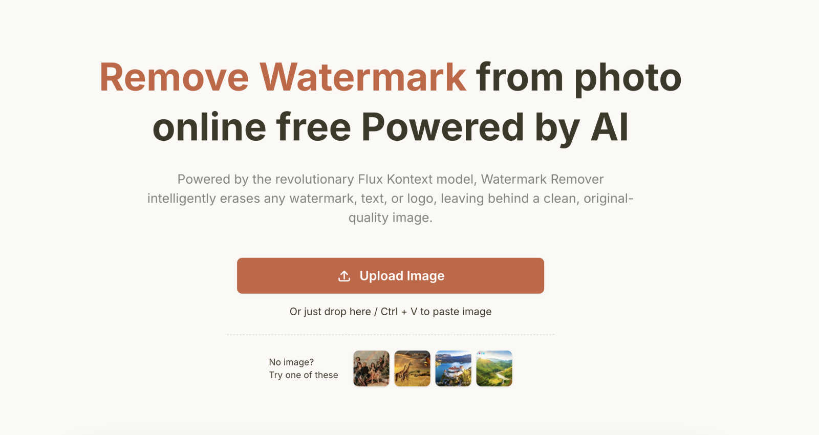 AI Watermark Remover application interface and features