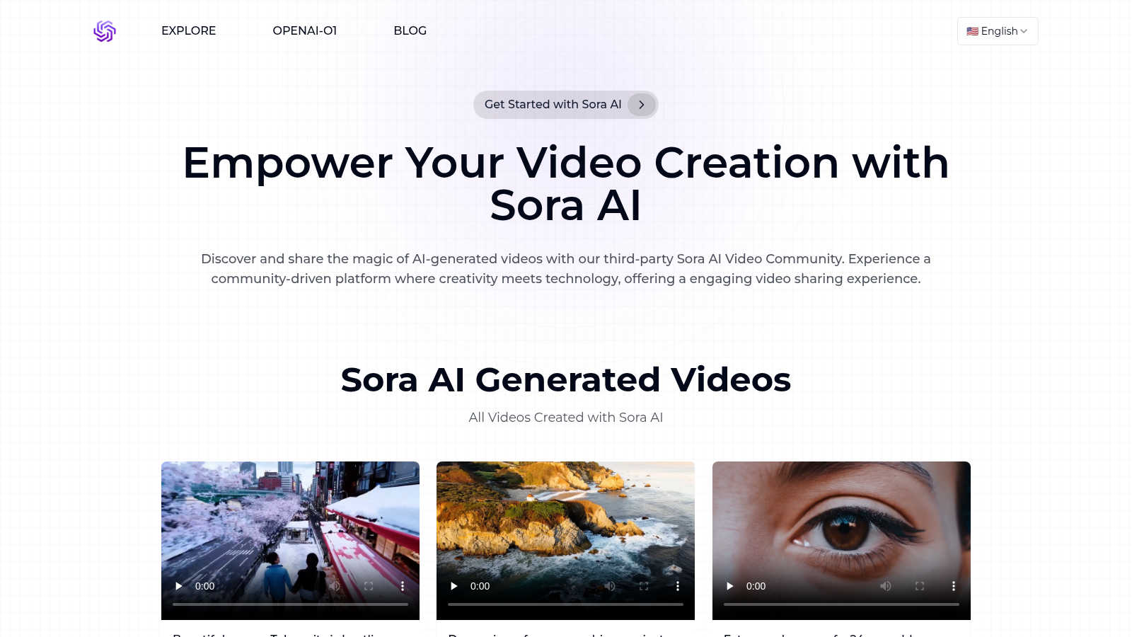 Sora AI application interface and features