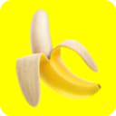 Nano Banana Prompts logo