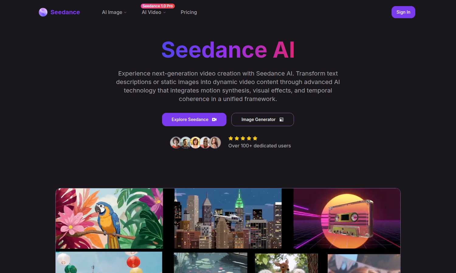 Seedance application interface and features