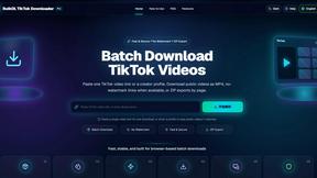 BulkDL - AI tool for Marketing