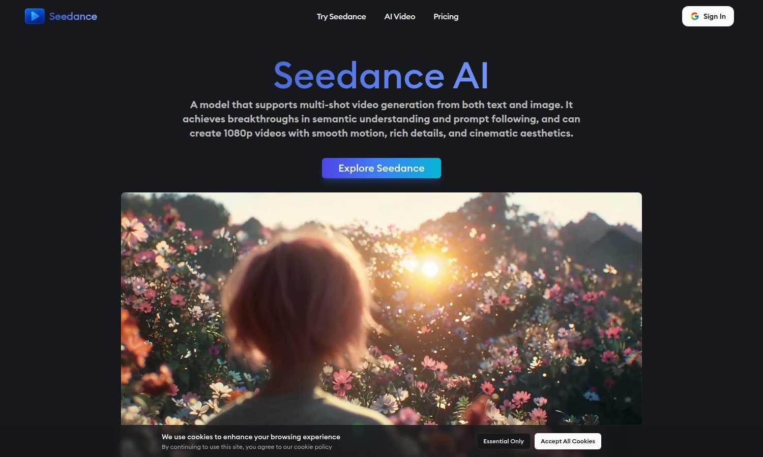 Seedance application interface and features
