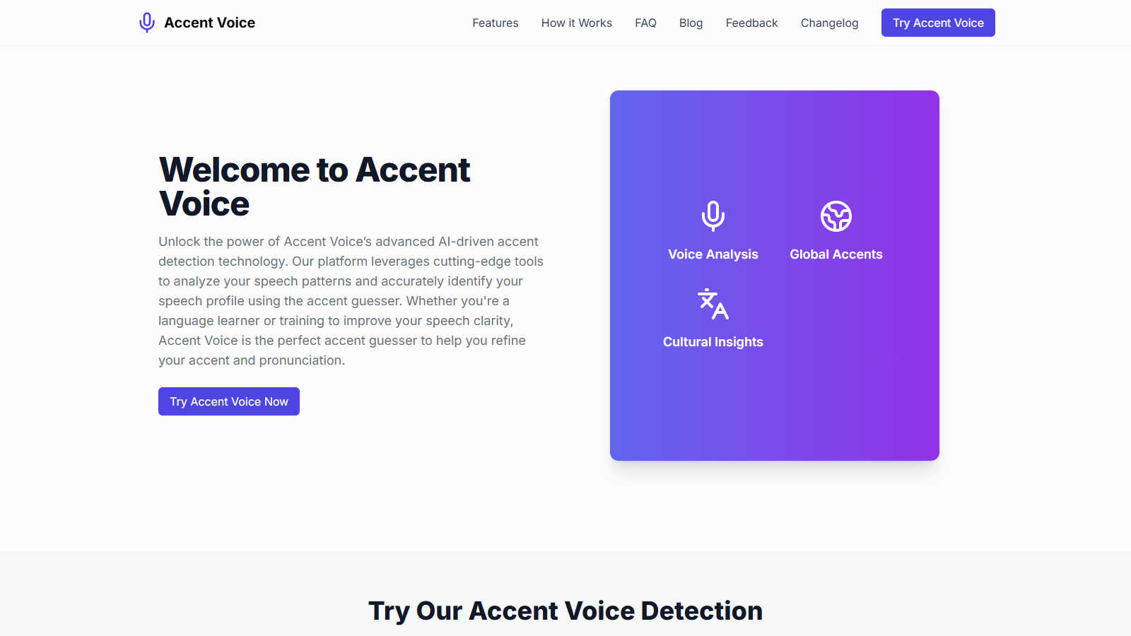 Accent Voice application interface and features