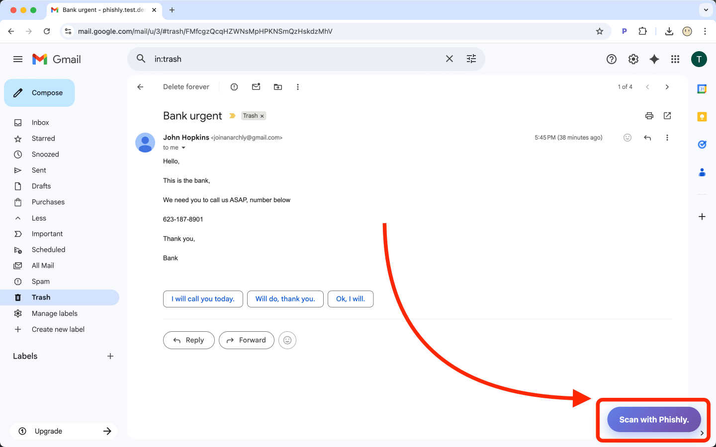Phishly application interface and features