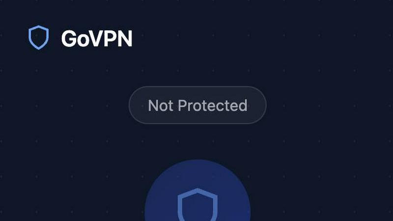 GoVPN application interface and features