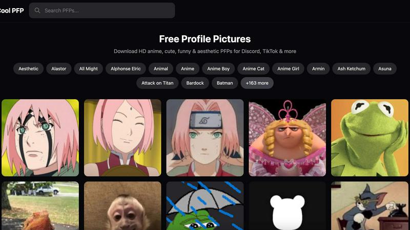 Cool PFP application interface and features