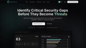 CyberGapAudit