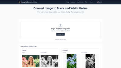 Image to Black and White Converter - AI tool for Content Creation