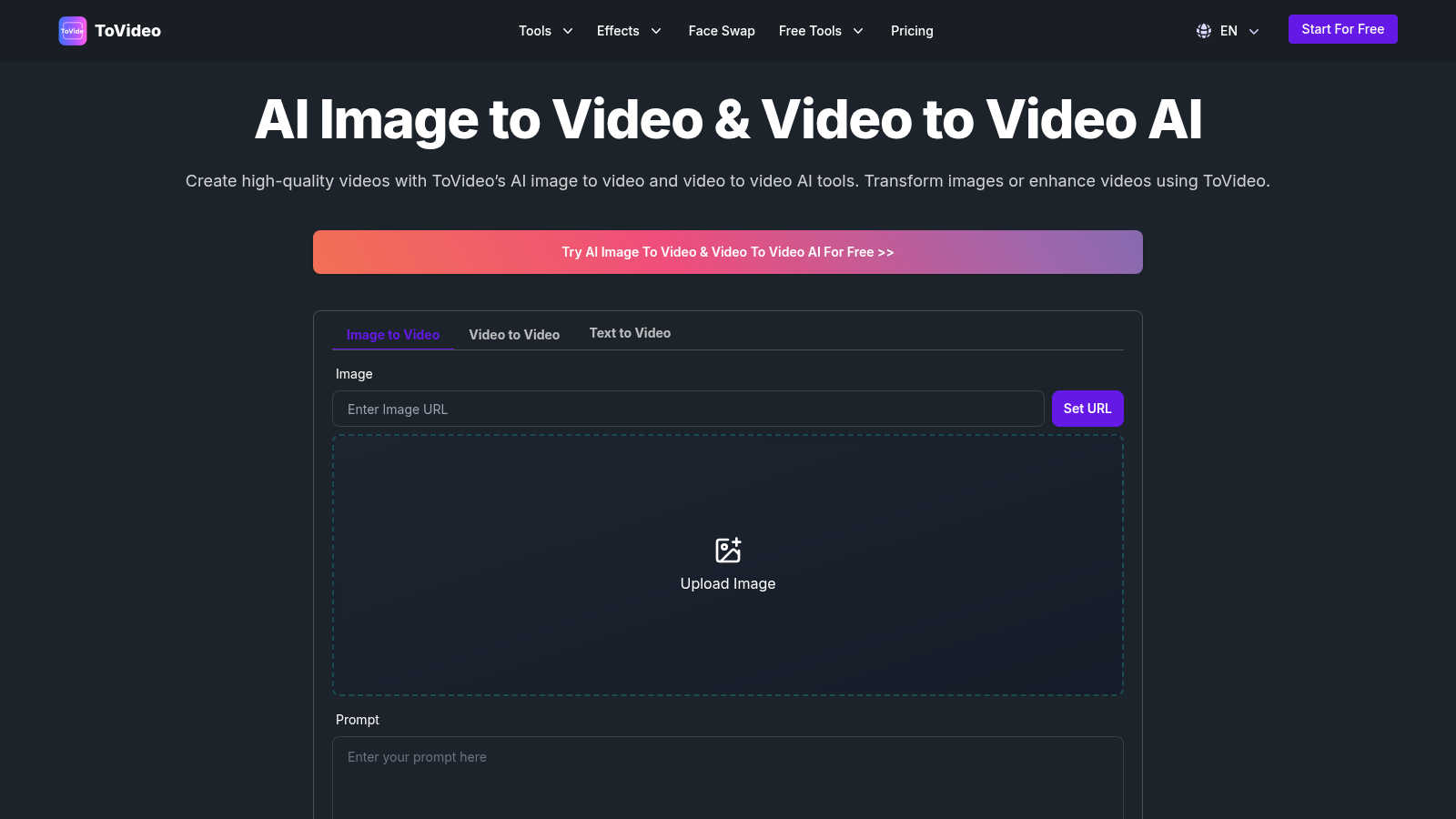 ToVideo application interface and features