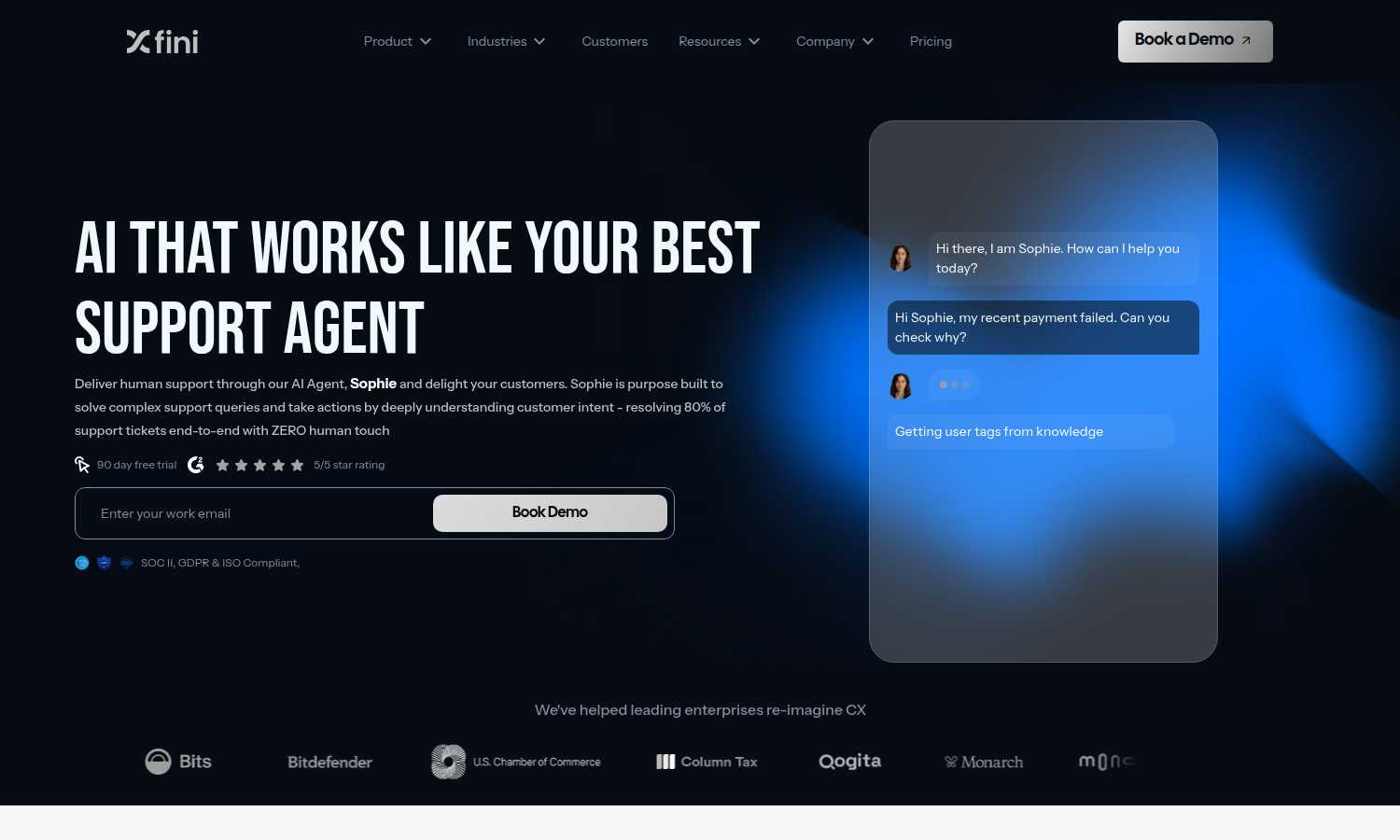 Fini AI application interface and features