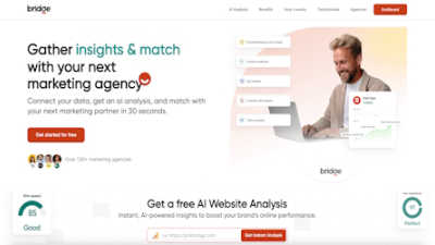 Bridge - AI tool for Productivity & Management