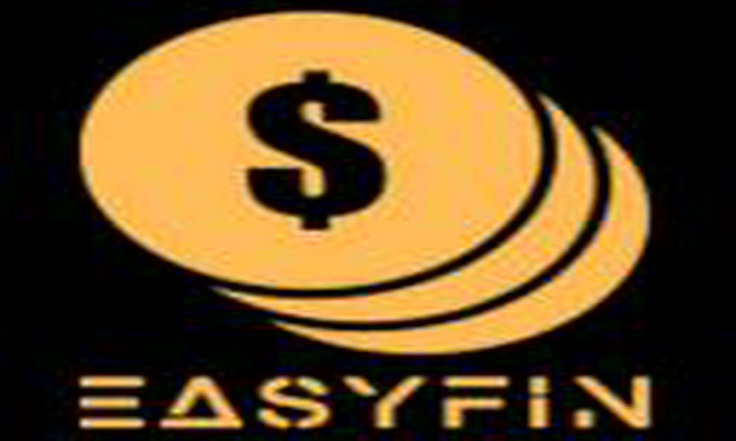 EasyFin Website