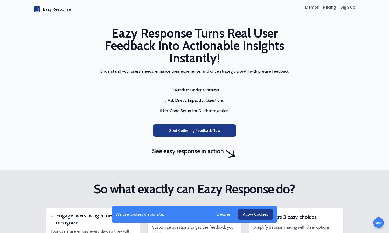 Eazy Response Website