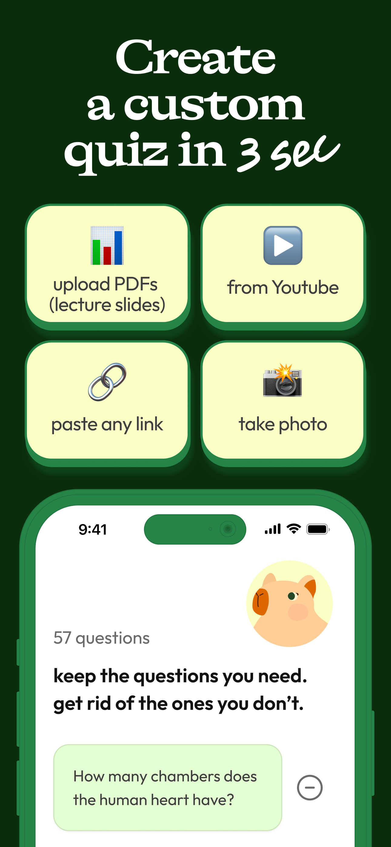 Jungle application interface and features