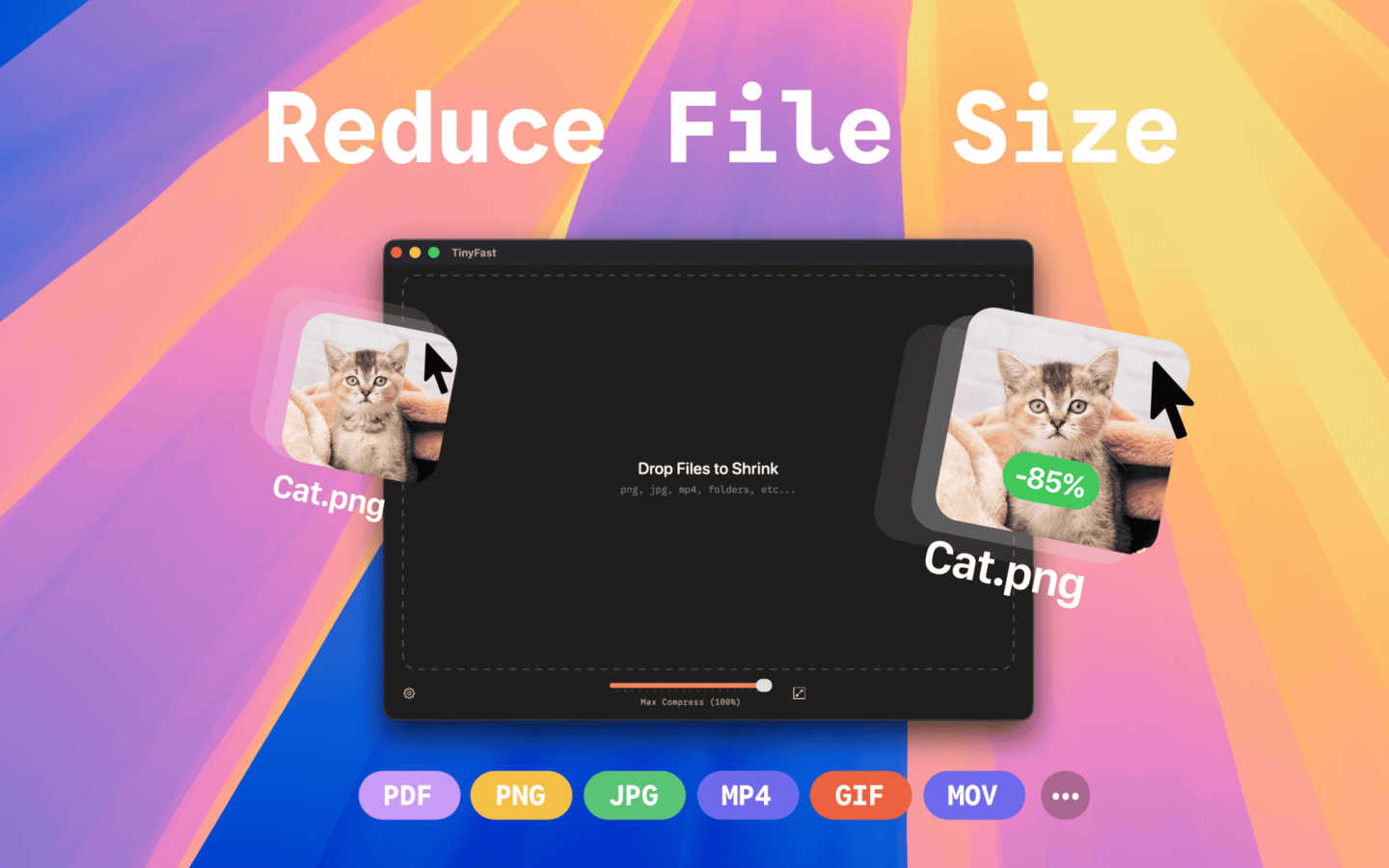 TinyFast application interface and features
