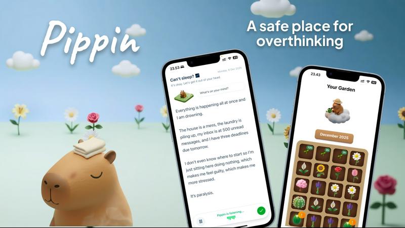 Pippin – Overthinking Journal application interface and features