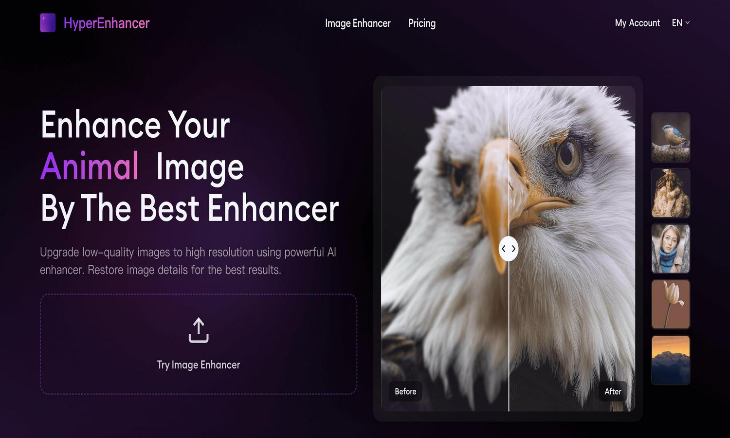 Hyper Enhancer Website