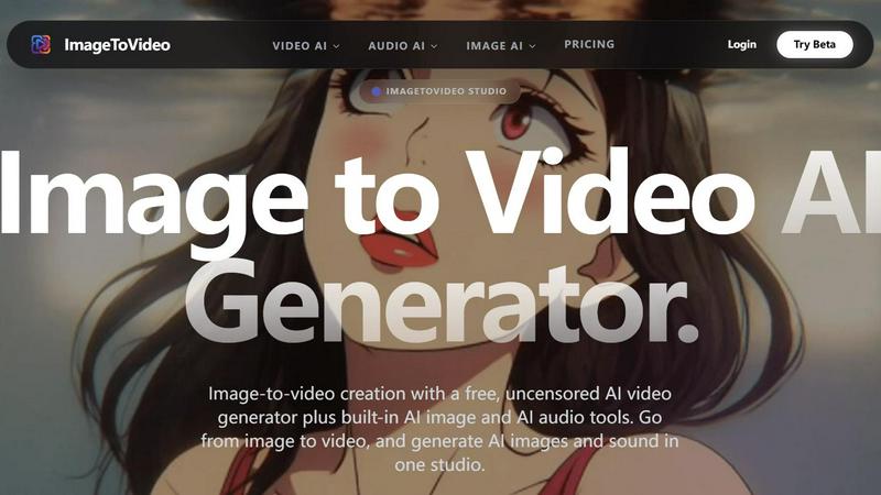 ImageToVideo application interface and features
