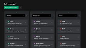 Mesostrength - AI tool for Health