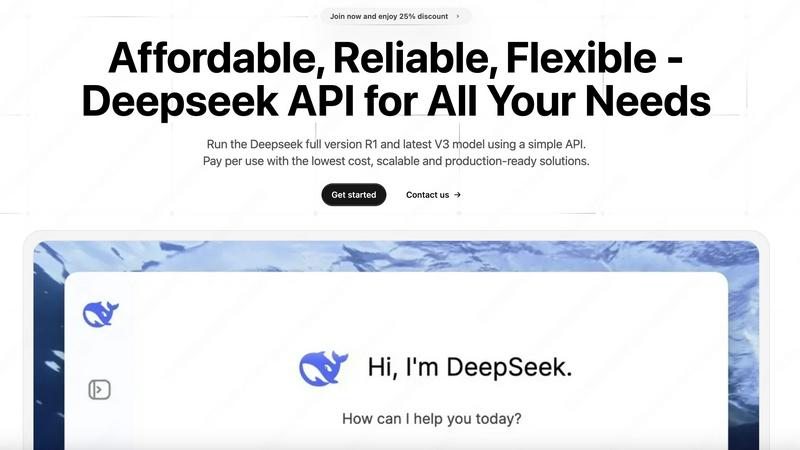 My Deepseek API application interface and features