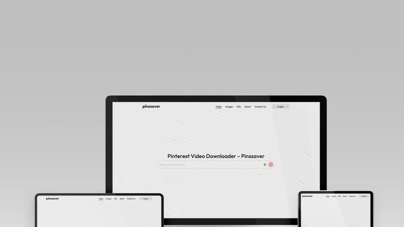 Pinssaver application interface and features