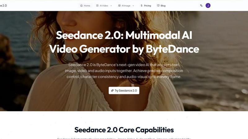 Seedance 2.0 application interface and features