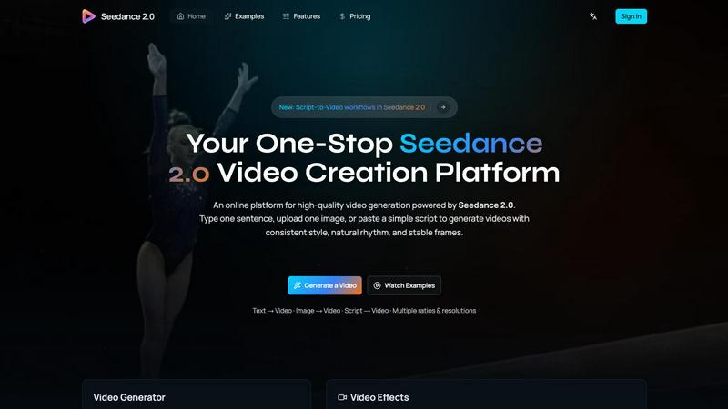 Seedance 2.0 application interface and features