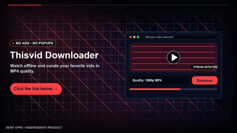 ThisVid Video Downloader application interface and features