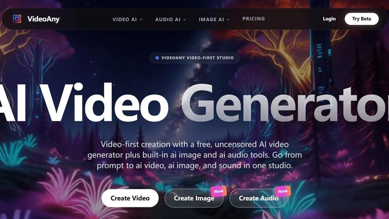 VideoAny application interface and features