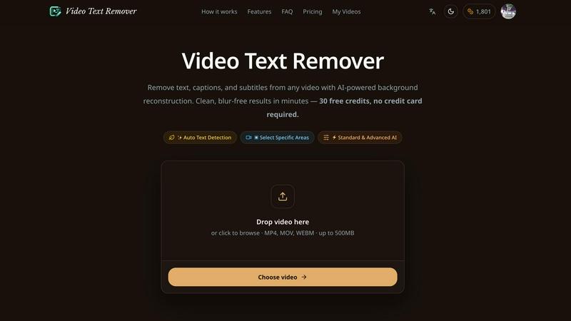 Video Text Remover screenshot