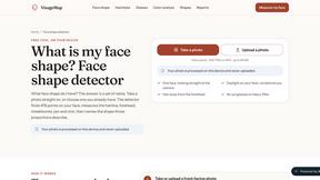 VisageMap