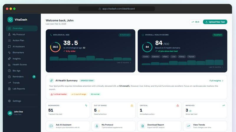 VitaDash application interface and features