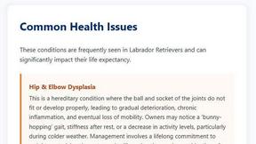 BreedMetrics.com - AI tool for Lifestyle & Entertainment